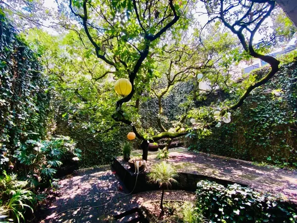 Casa en venta en Jardines En la Montaña, Tlalpan — foto 3 de 22