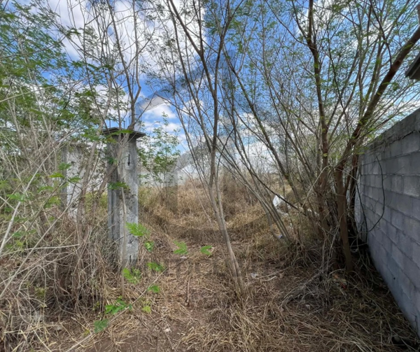 Terreno en venta en El Guerreño (Brecha 100y102 con km 23y26 Norte), Reynosa — foto 3 de 7
