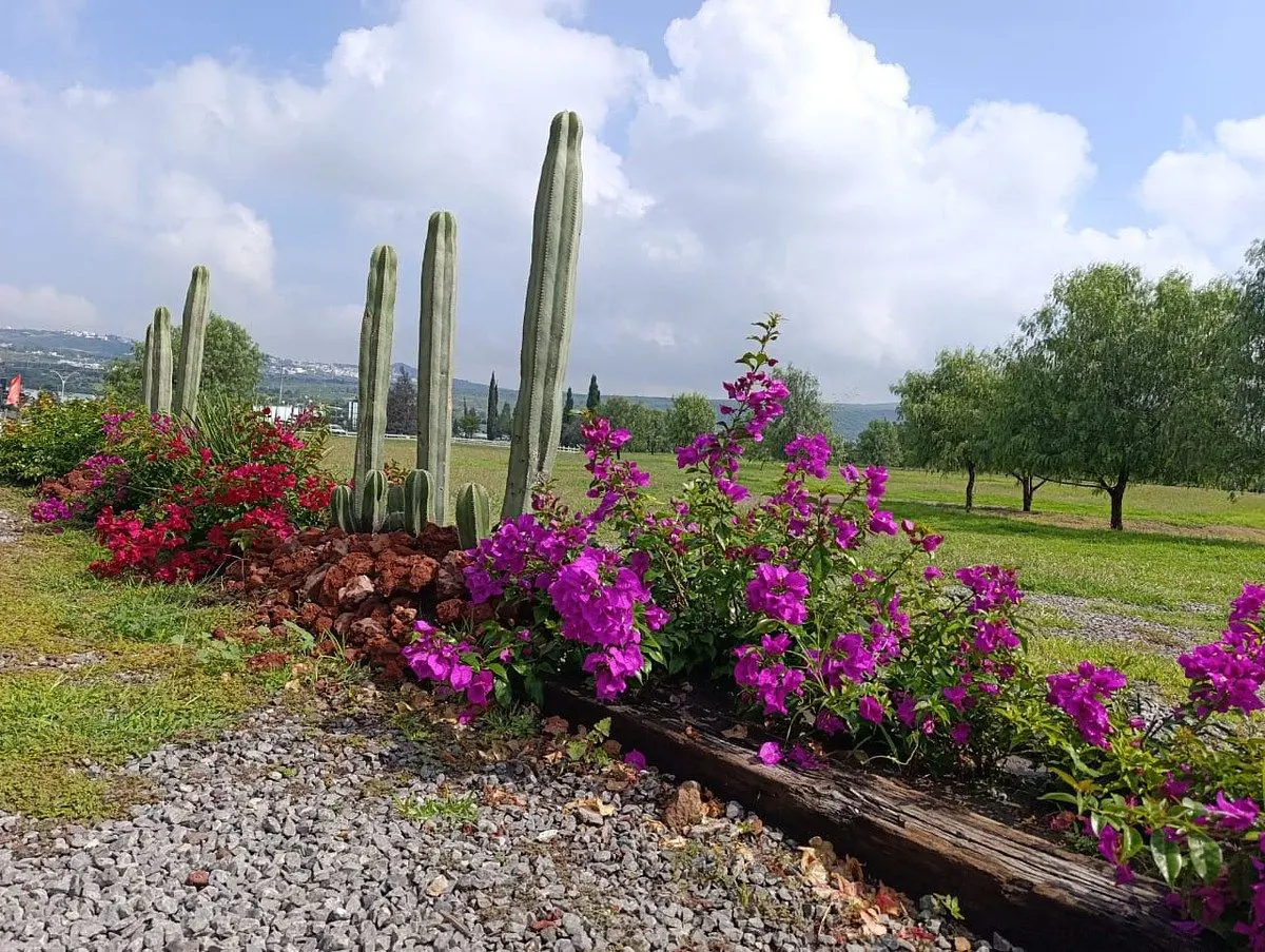 Terreno en venta en Preserve Sur, Corregidora — foto 1 de 20
