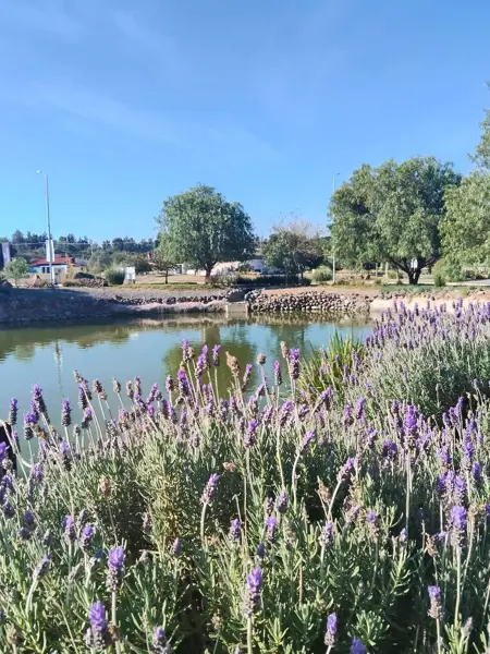 Terreno en venta en Preserve Sur, Corregidora — foto 2 de 20