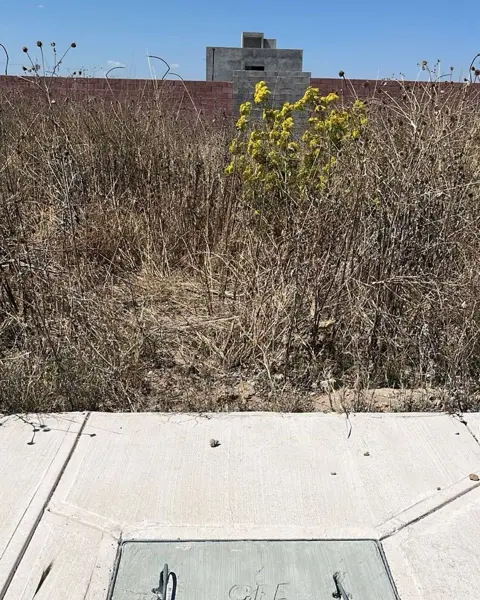Terreno en venta en Purisima de San Rafael, Corregidora — foto 3 de 37