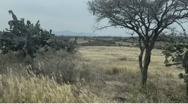 Terreno en venta en El Puerto de La Sabanilla, Jerécuaro — foto 3 de 9