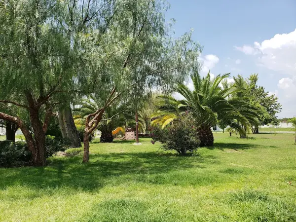 Terreno en venta en Porta Maggiore, Celaya — foto 3 de 5