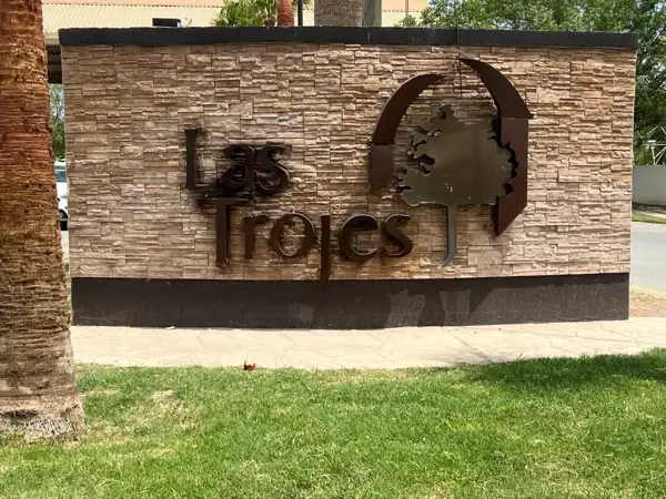 Terreno en venta en Las Trojes, Torreón — foto 3 de 5