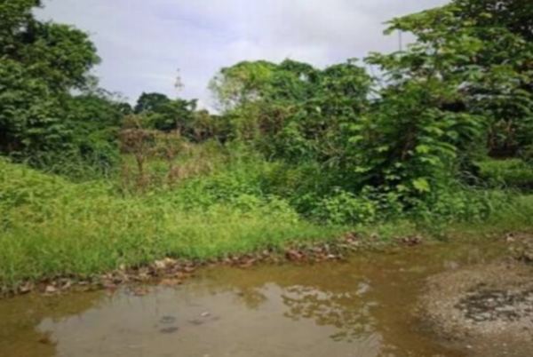 Terreno en venta en Crucifijo, Macuspana — foto 2 de 2