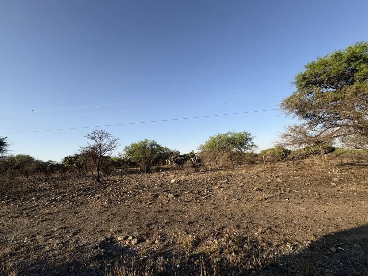 Terreno en venta en El Mercader, Tecozautla — foto 1 de 11