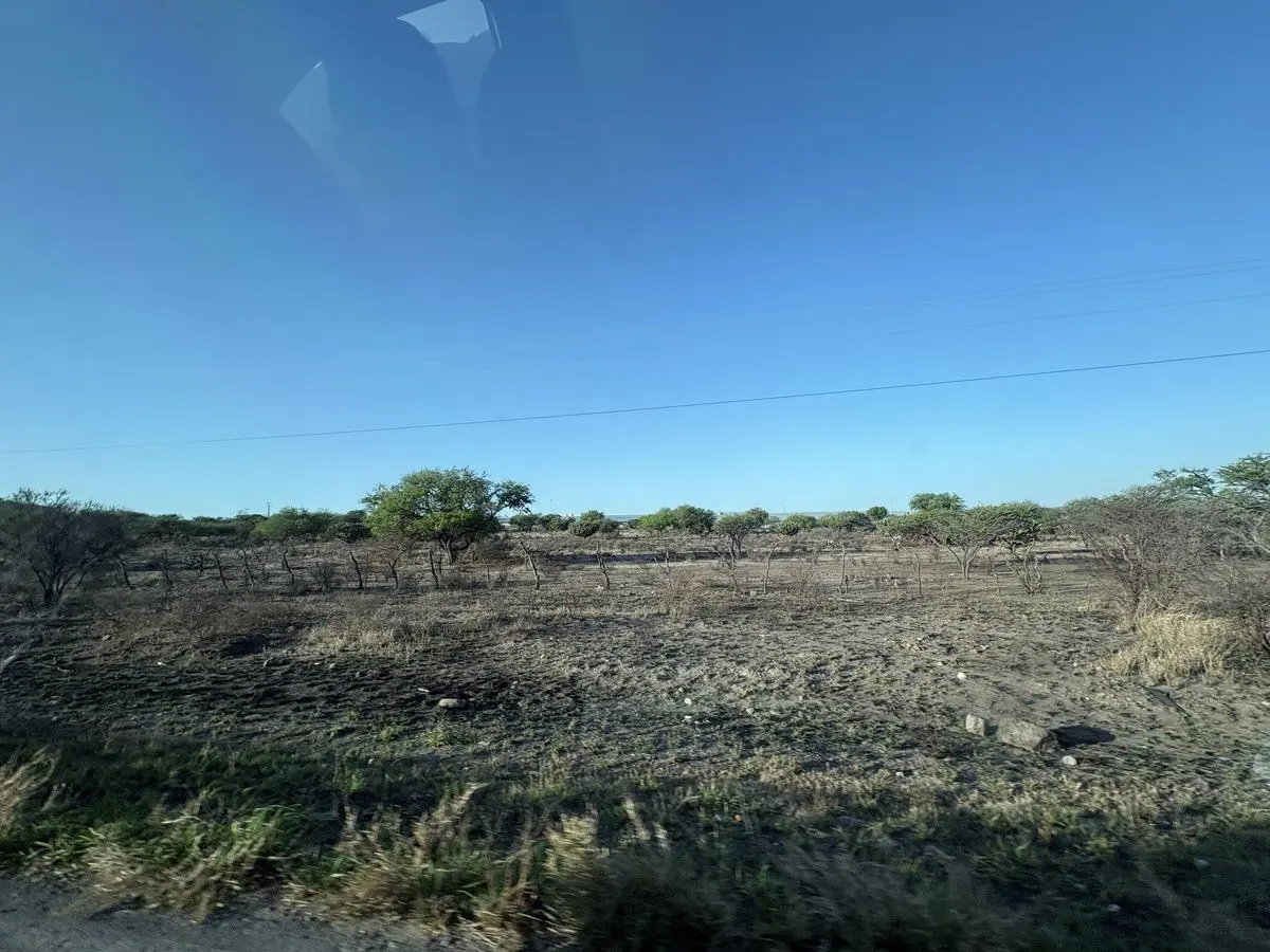 Terreno en venta en El Mercader, Tecozautla — foto 1 de 11