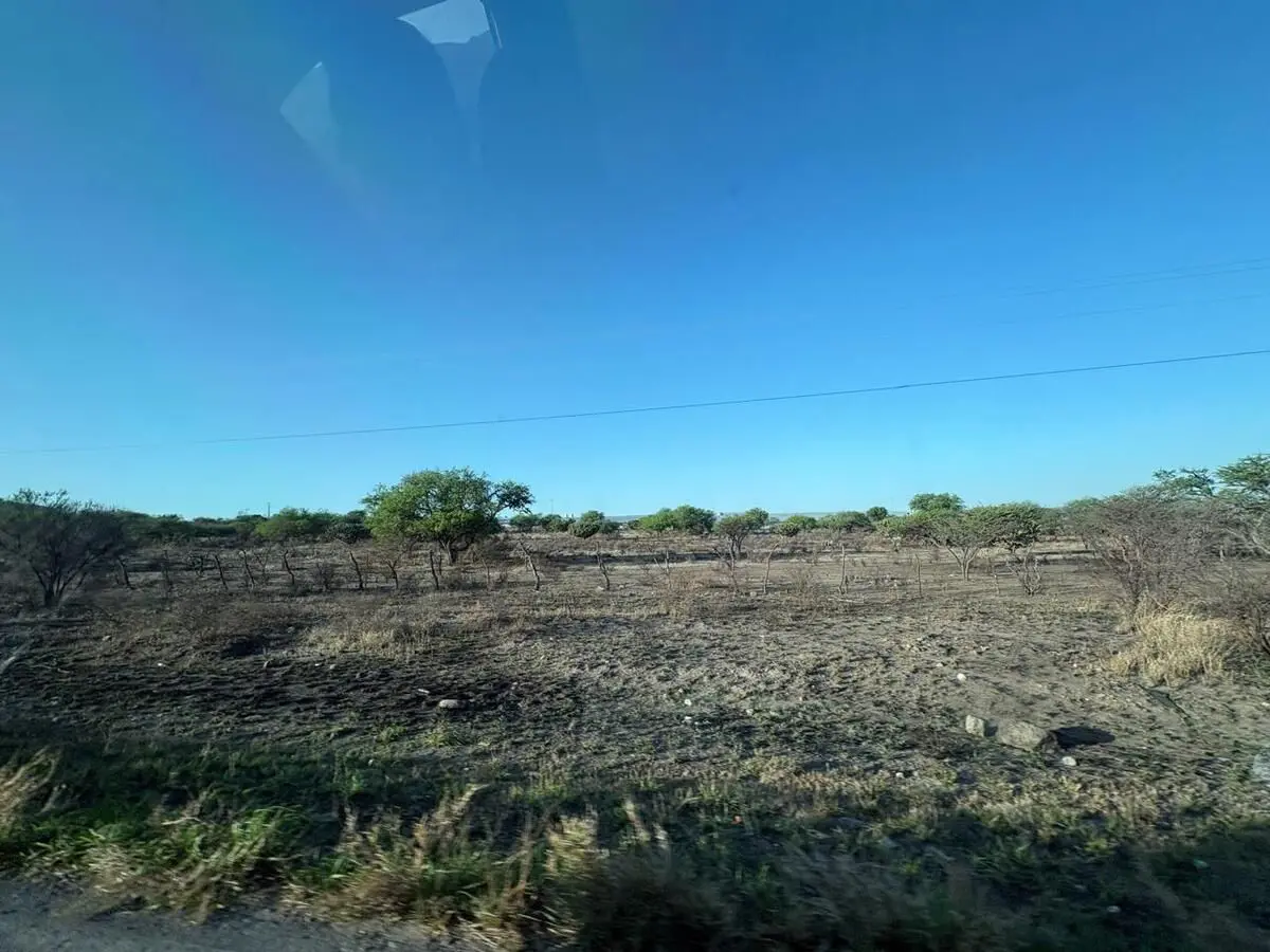 Terreno en venta en El Mercader, Tecozautla — foto 1 de 9