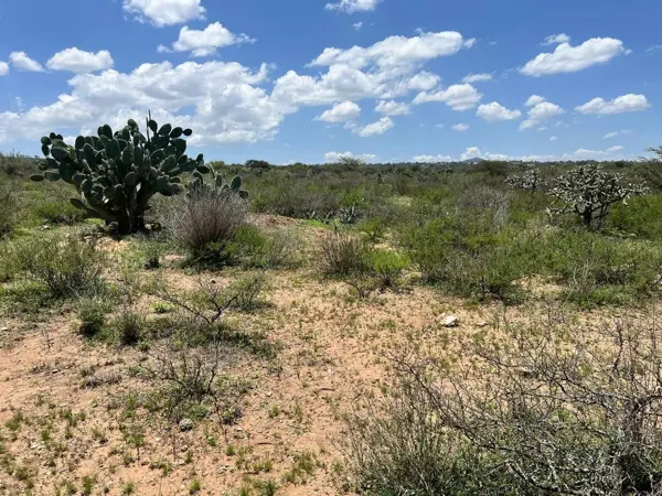 Terreno en venta en Alfredo V. Bonfil (Los Pérez), Ezequiel Montes — foto 3 de 14
