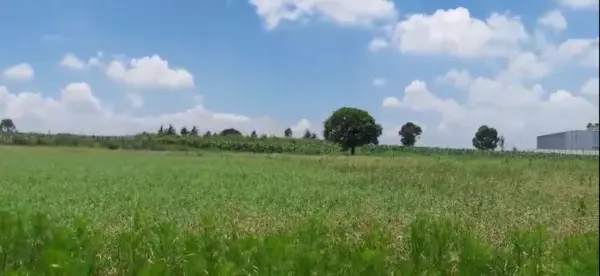Terreno en venta en El Rosal, Jilotepec — foto 3 de 11
