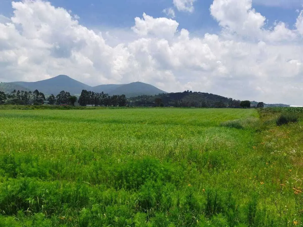 Terreno en venta en El Rosal, Jilotepec — foto 1 de 11