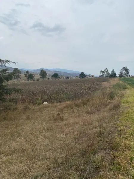 Terreno en venta en Los Gavilanes, Aculco — foto 2 de 12