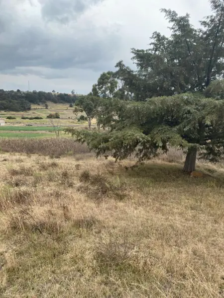 Terreno en venta en Los Gavilanes, Aculco — foto 3 de 12