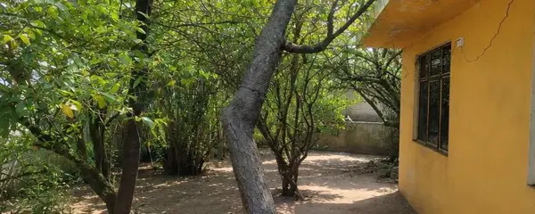 Terreno en venta en San Bartolome Tenango, Tetlatlahuca — foto 3 de 13