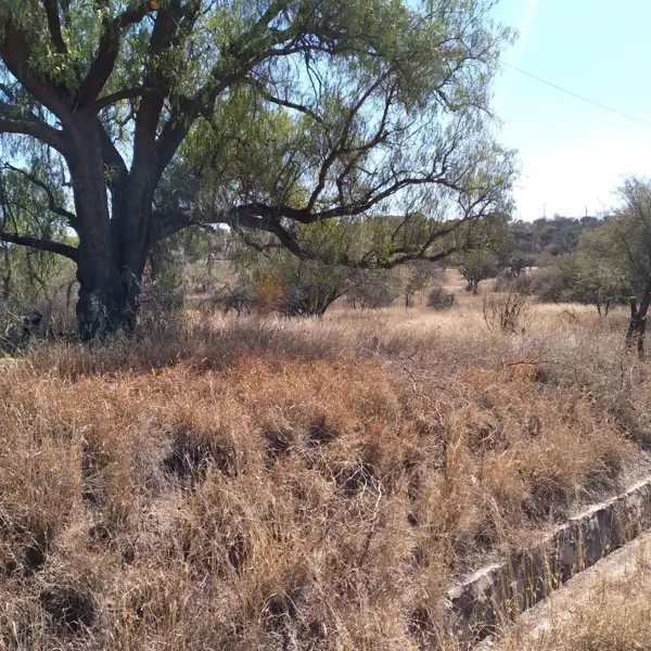 Terreno en venta en Amazcala, El Marqués — foto 2 de 4