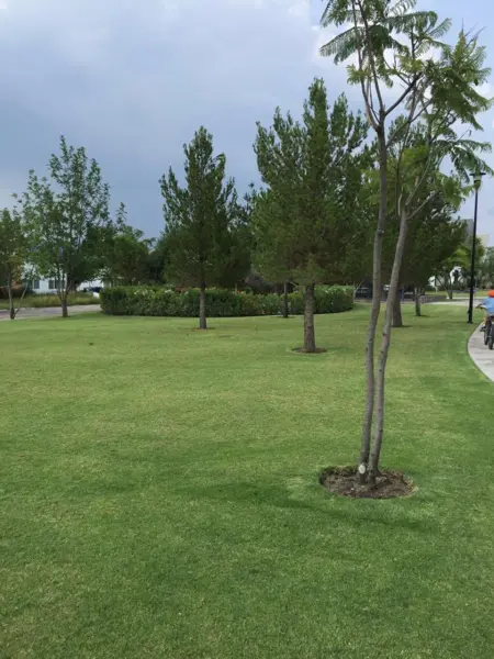 Terreno Venta Paseos del Pueblito Campanario Queretaro Rtv191004-ae