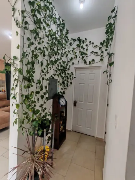 Casa en venta en La Candelaria, Hermosillo — foto 3 de 17