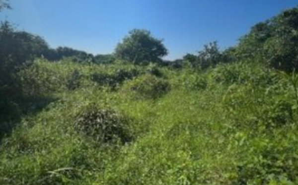 Terreno en venta en Crucifijo, Macuspana — foto 2 de 2
