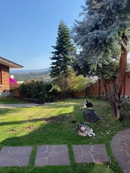 Casa en venta en Parque del Pedregal, Tlalpan — foto 3 de 20