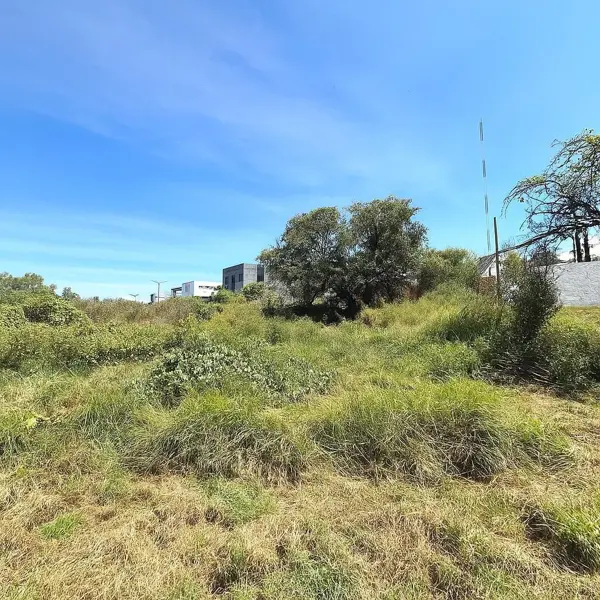 Terreno en renta en Lomas de Jesus Maria, Jesús María — foto 3 de 10