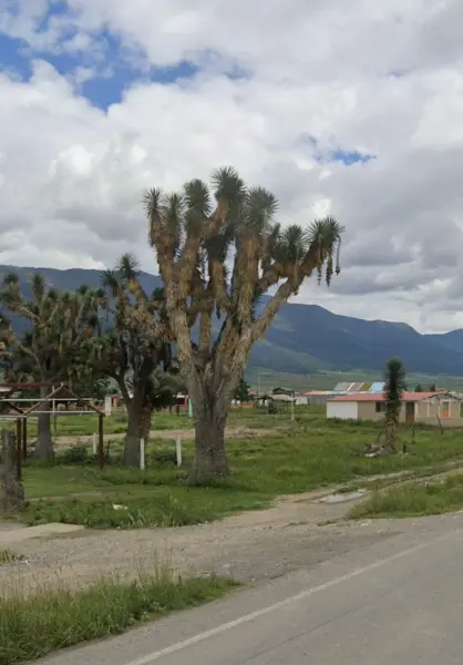 Terreno en venta en San Ignacio de Abajo, Arteaga — foto 3 de 4