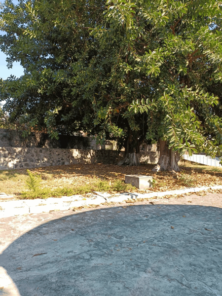 Terreno en venta en Temixco Centro, Temixco — foto 2 de 8