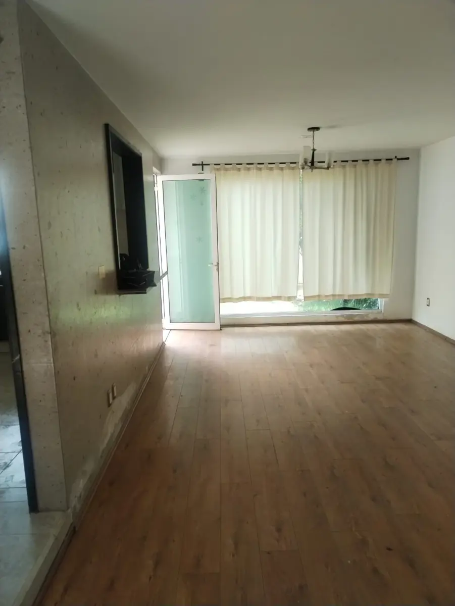 picture-1