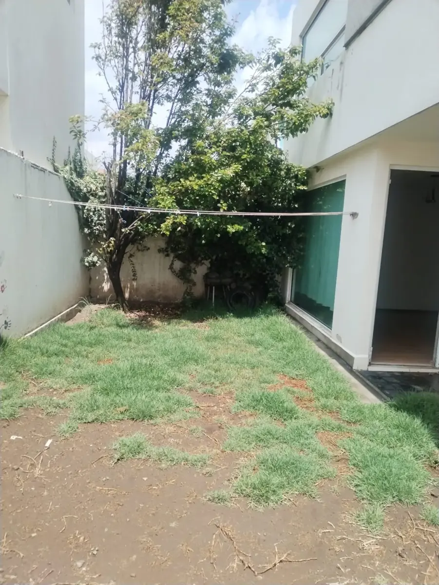 picture-3