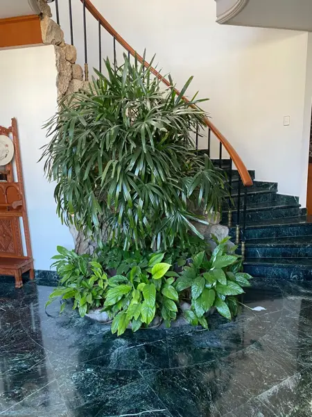Casa en venta en Nueva los Angeles, Torreón — foto 2 de 12