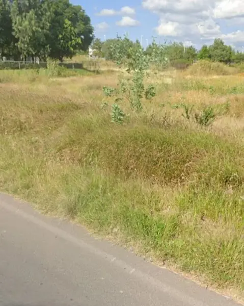 Terreno en venta en Ciudad Maderas, El Marqués — foto 3 de 7