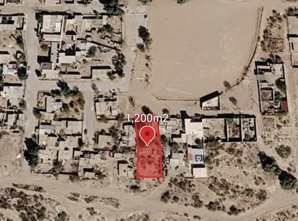 TERRENO EN VENTA EN EL OLIVO, MATAMOROS COAHUILA TERRENO EN VENTA EN EL OLIVO, MATAMOROS COAHUILA