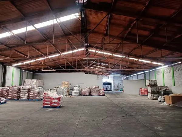 Bodega en renta en Ganadera, Irapuato — foto 3 de 20