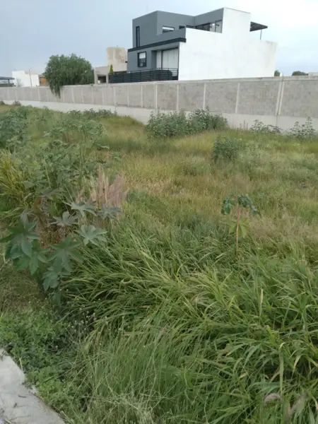 Terreno en venta en Carlota Hacienda Vanegas, Corregidora — foto 3 de 9