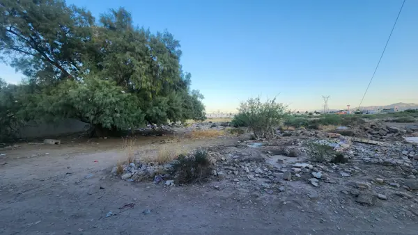 Terreno en venta en Ejido Nuevo Castillo, Gómez Palacio — foto 2 de 2