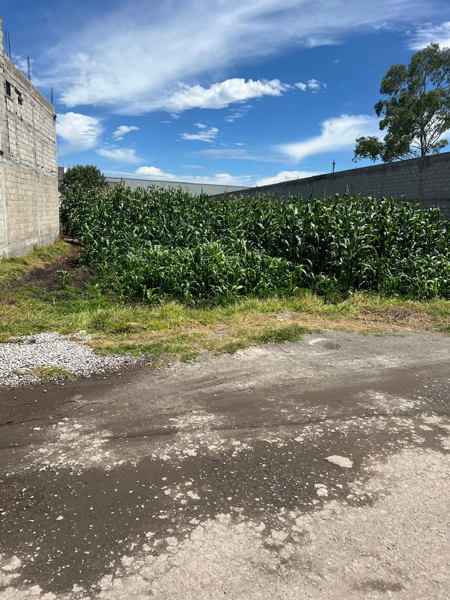 Terreno en venta en Santa María, San Mateo Atenco — foto 3 de 4