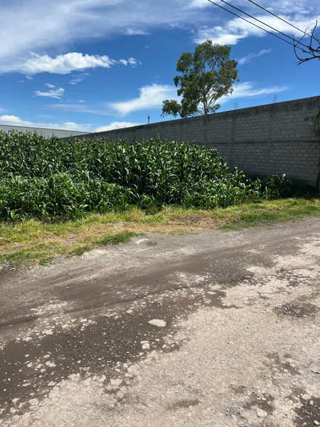 Terreno en venta en Santa María, San Mateo Atenco — foto 2 de 4