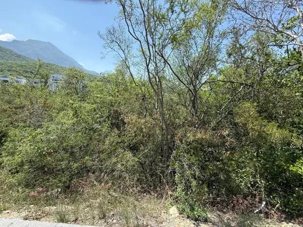 Terreno en venta en Sierra Alta, Monterrey — foto 3 de 16