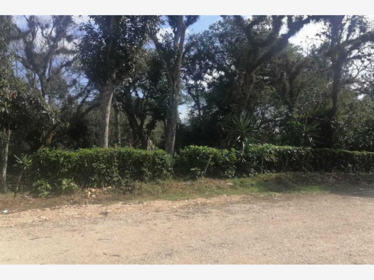 Terreno en venta en José Vasconcelos, Xalapa — foto 1 de 12