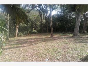 Terreno en venta en José Vasconcelos, Xalapa — foto 2 de 12