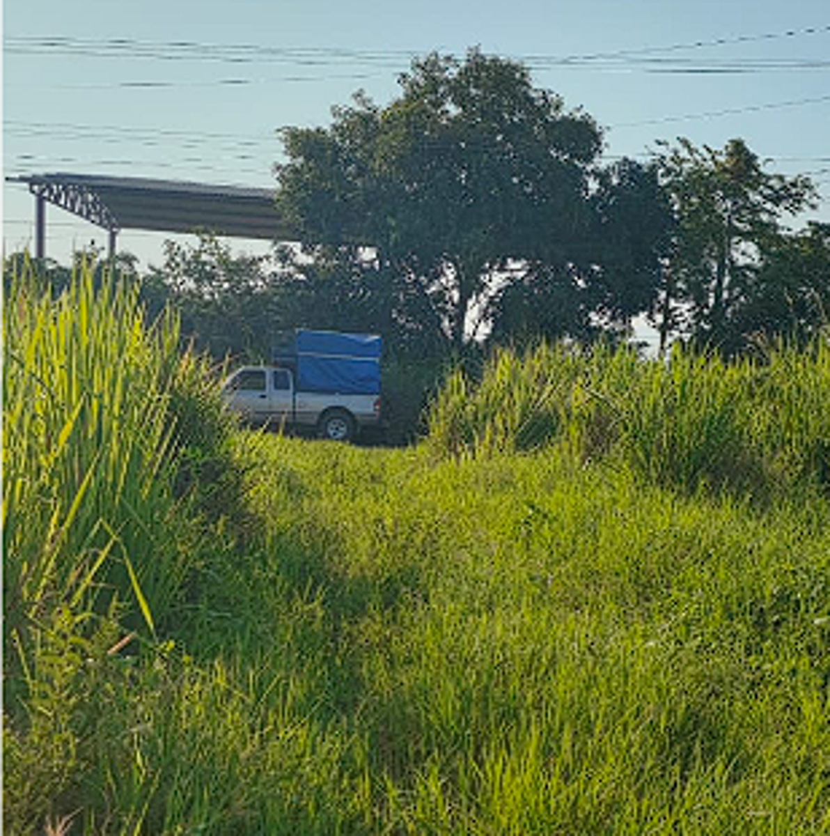 Terreno en venta en Manuel Buelta 1ra. Sección, Teapa