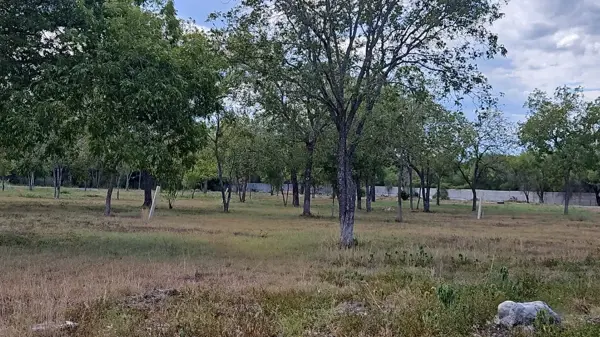 Terreno en venta en El Bajío, Montemorelos — foto 3 de 10