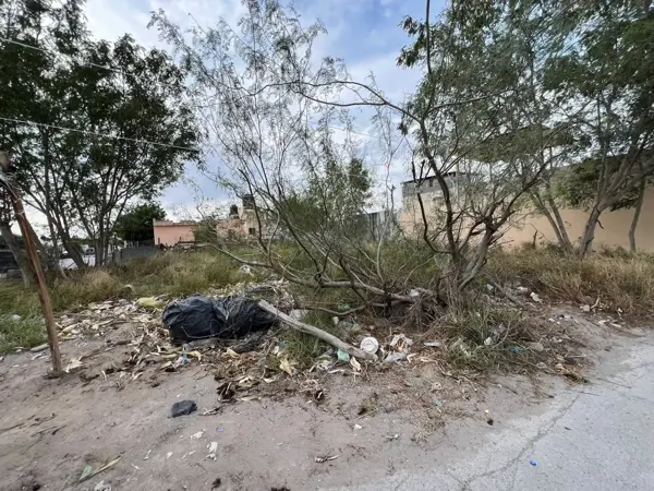 Terreno en renta en Halcón, Reynosa — foto 3 de 5