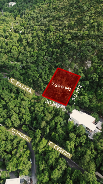 TERRENO EN VENTA EN OLINALA TERRENO EN VENTA EN OLINALA