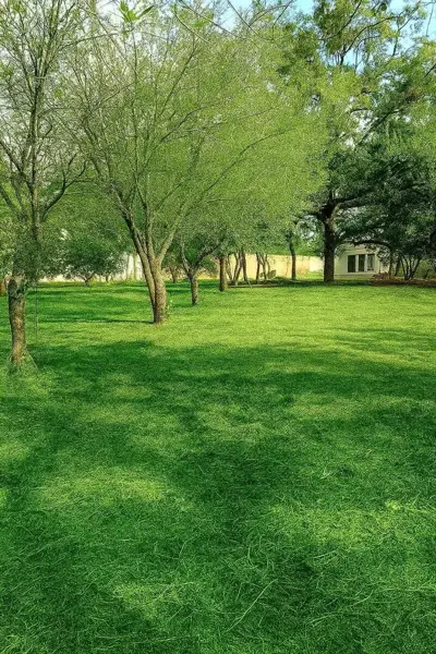 Terreno en venta en San Francisco, Santiago — foto 2 de 6