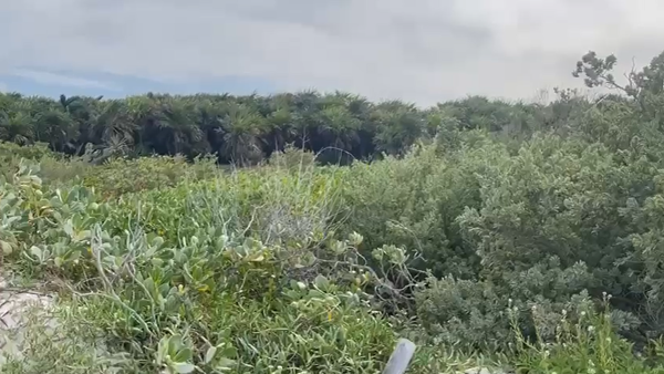 Terreno en venta en El Cuyo, Tizimín — foto 2 de 10