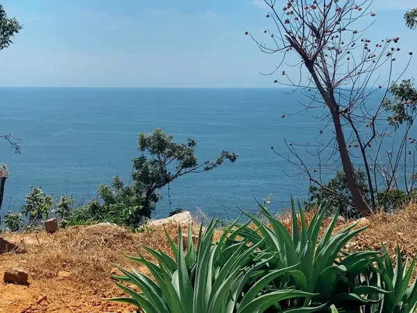 Terreno en venta en Brisas del Marqués, Acapulco de Juárez — foto 3 de 8
