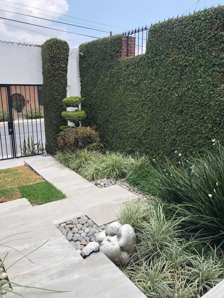Casa en renta en Mirasierra, San Pedro Garza García — foto 3 de 8