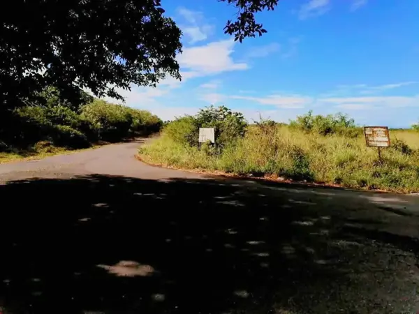 Terreno en venta en Tierra Colorada, Paso de Ovejas — foto 2 de 15