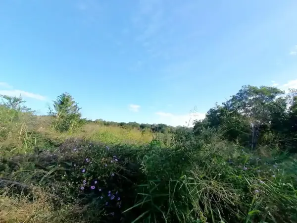 Terreno en venta en Tierra Colorada, Paso de Ovejas — foto 3 de 15