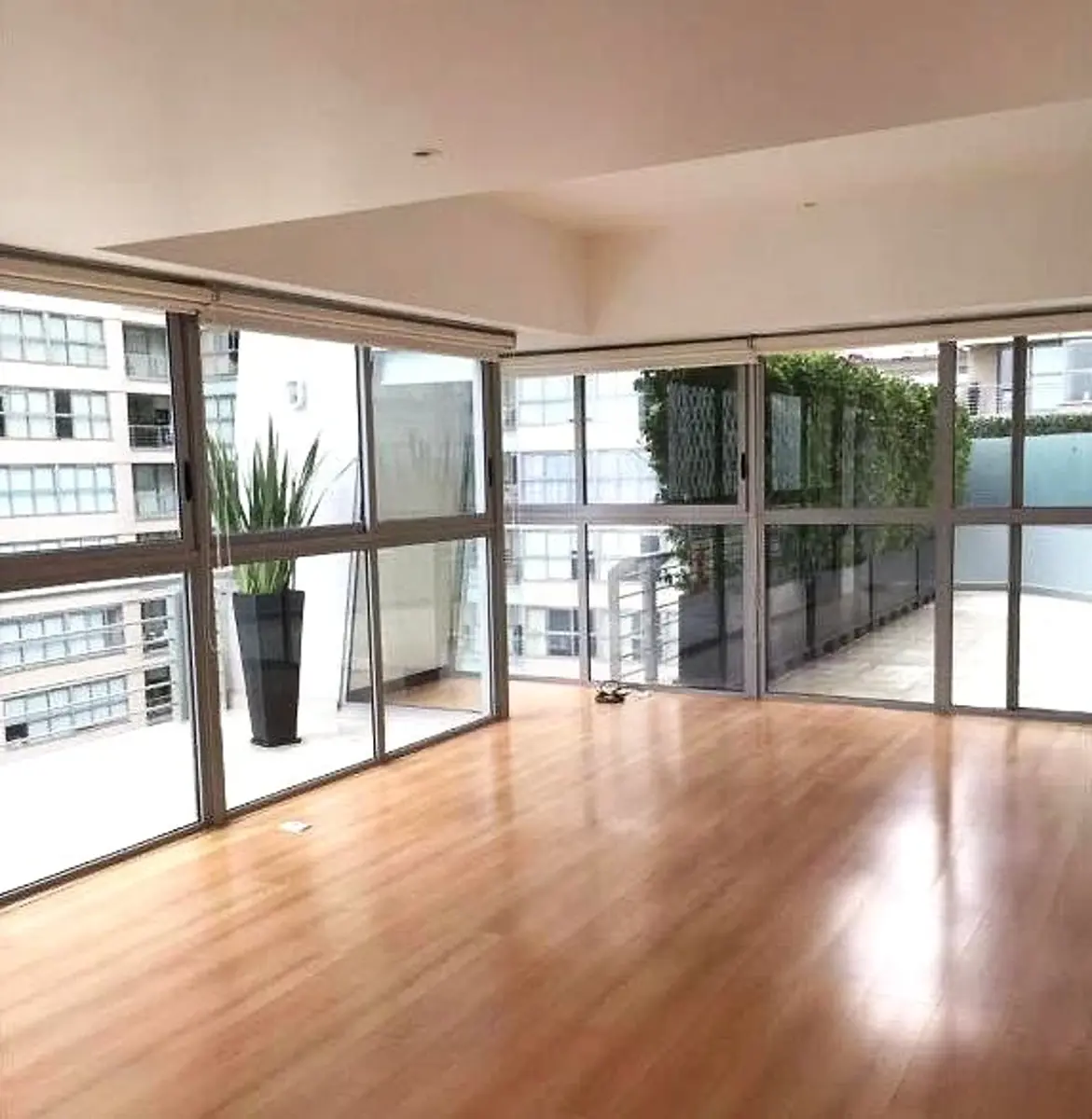 Departamento en renta en Irrigacion, Miguel Hidalgo — foto 1 de 20